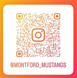 Insta QR